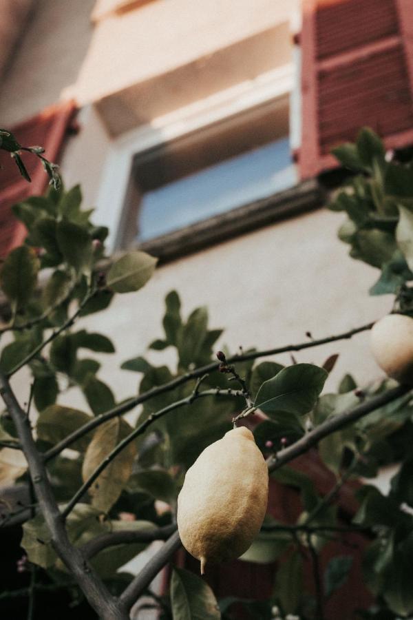 La Maison Perchee Thiers Bagian luar foto